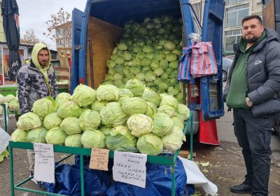 Въпреки по високите цените на зелето спрямо миналата година има