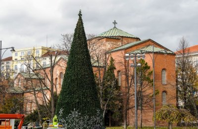 Коледната елха на София ще грейне на 1 декември в