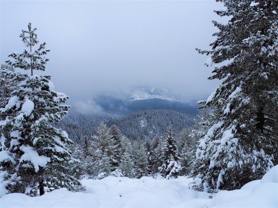 The snow cover in the Rhodope mountains Southern Bulgaria on