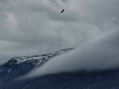 Значителни валежи от дъжд и сняг и утре