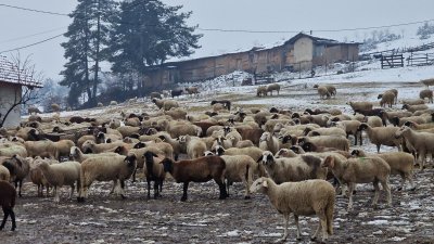 Очаква се днес у нас да пристигнат експерти от Европейската