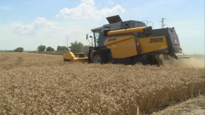 The draft budget is causing concern among grain producers They