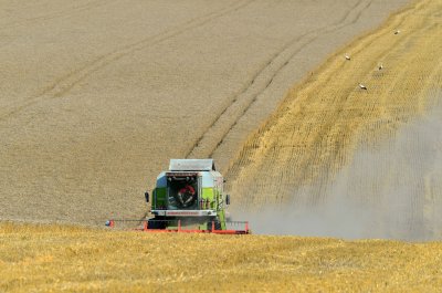 Grain producers ready to protest over 2025 draft budget