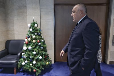 GERB-UDF leader Borissov: We will hold talks with DB, BSP and TISP