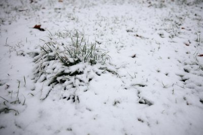 Валежите на много места вече започнаха като през изминалите 12