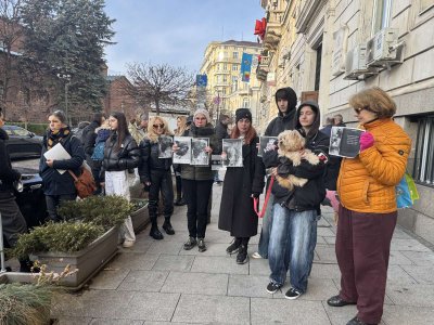 Протест пред Столичната община с искане за допускане на доброволци в общинските приюти