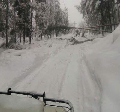 Поетапно възстановяват електрозахранването в Западна България, но паднали дървета и силен вятър създават нови аварии