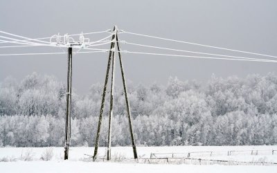 Поетапно се възстановява електрозахранването в Западна България, но паднали дървета и силен вятър създават нови аварии