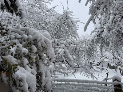 Продължава почистването на пътя Драгалевци хижа Алеко където има паднали