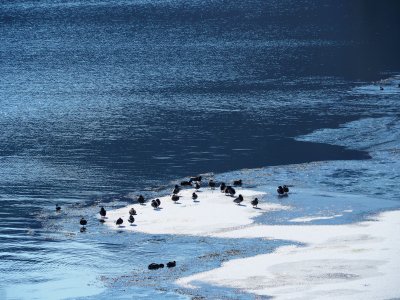 Слънчево ще бъде днес времето над цялата страна с максимални