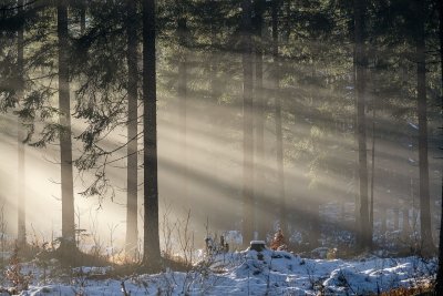 Слънчево време в първия ден от 2025 година