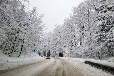 Движението в прохода Петрохан е временно ограничено заради паднали дървета