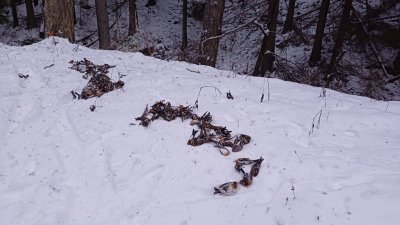 Полицията се е самосезирала по случая с в района на