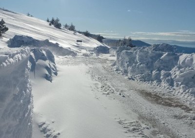 Ще има сняг януари месец ще бъде разнообразен Утре в