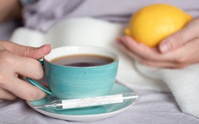 The number of districts in Bulgaria subject to flu epidemic has risen to six