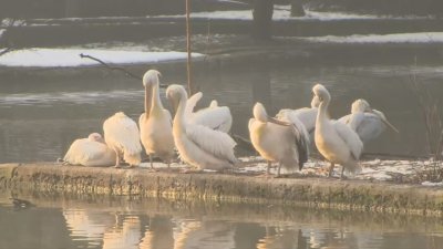 Цените на билетите за зоопарка трябваше да бъдат променени защото