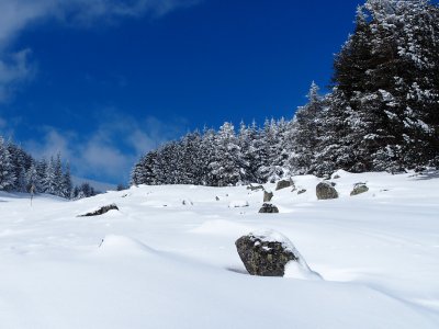 Всички лифтове до Витоша Княжевският Драгалевският и Симеоновският спряха работа