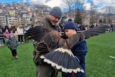 Десетки смолянчани се включиха в отбелязването на празника на соколарите