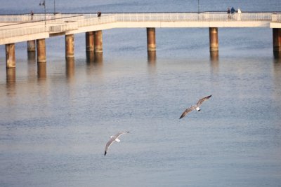 Туристическият бранш по Южното Черноморие поиска редица промени в Закона