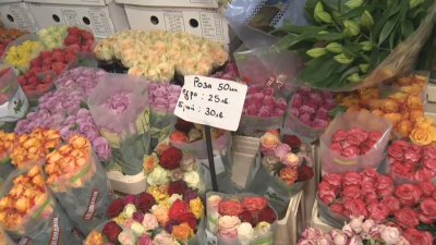 Преди големите празници цените на цветята и цветарските услуги скачат