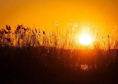 Красотата на България: Залез над Мандренското езеро край Бургас (СНИМКИ)