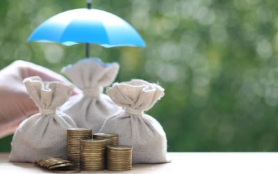 State Budget Foresees Increase in Pensions, As Well As Higher Revenues and Expenditures
