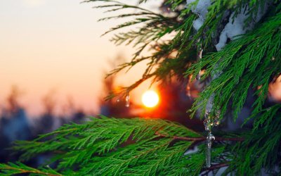 Постепенно затопляне в следващите дни