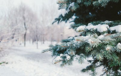 Опасност от поледици в Западна България