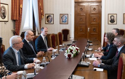 Президентът Румен Радев разговаря с посланика на САЩ Сюзън Фалатко