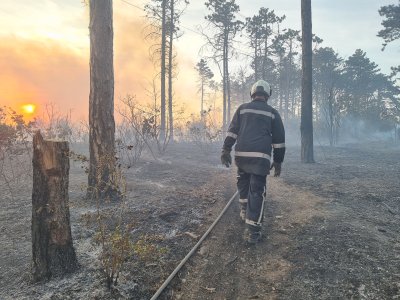 Огънят край Сатовча е потушен
