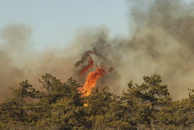Властите в Ню Йорк обявиха бедствено положение заради горски пожари (СНИМКИ)