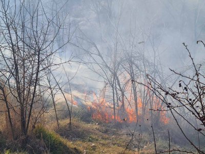 Горят старите рибарници край русенското село Мечка