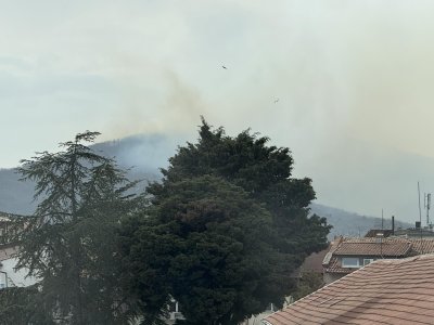 Forest fire rages near Tsarevo