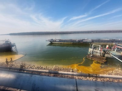 Разлив на мазни петна в Дунав установи екоинспекцията в Русе