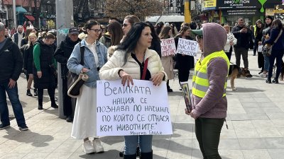 В защита на животните: Нови протести в София и Пловдив