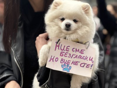 "Be the voice of the voiceless" – Pernik residents protest against animal cruelty