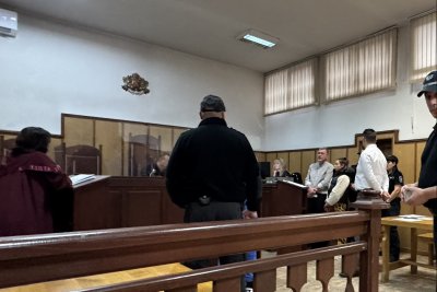 След клиповете със зверства над животни: Предлагат промени в Наказателния кодекс