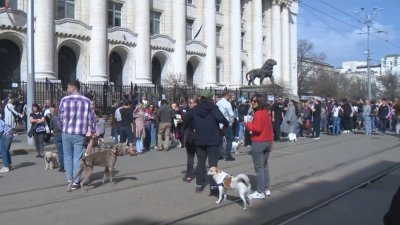 Вълна от гняв и възмущение след бруталния случай на насилие