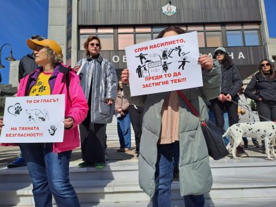 След бруталната агресия в Перник: Варна каза "не" на насилието над животни