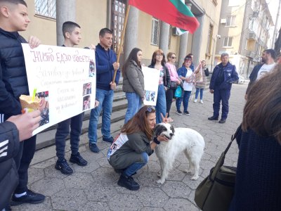 Срещу насилието над животни - протестите в страната продължават