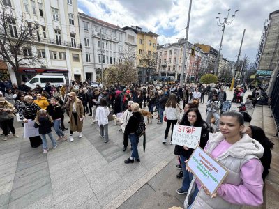 Протести срещу насилието над животни се провеждат в няколко града днес (СНИМКИ)