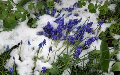 След 20° в събота - сняг в неделя и понеделник
