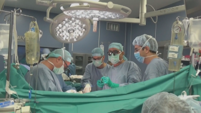 62% of Bulgarians approve of organ donation