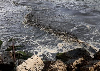 Частично бедствено положение е обявено във Варна заради разлива на нефтопродукти в морето