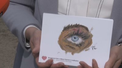 Майката на Ани, пометена на пешеходна пътека: Време е да отворим очи