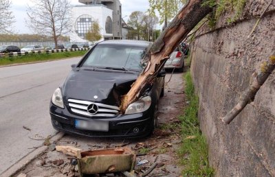 Hurricane wind in Ruse - tree fell on car while driver was inside