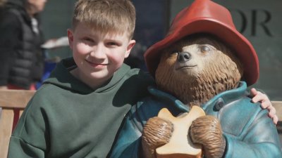Отново у дома - мечето Падингтън се завърна в Нюбъри