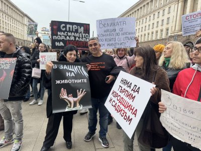 "Бъди гласът им" - пак протест срещу тормоза над животни