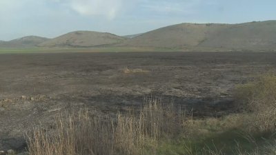 Загасен е пожарът, избухнал в Алдомировското блато
