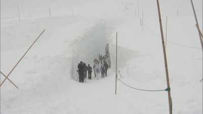 Зимна атракция: Най-снежният път в Япония отново е отворен